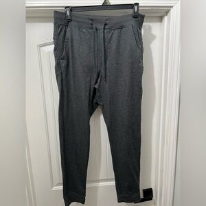 Birddogs Mens Gray Jogger Pants